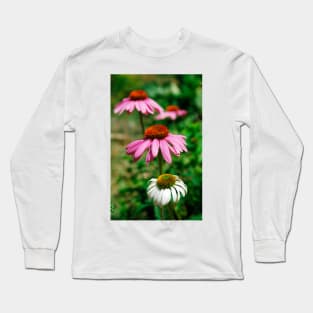 Echinacea Purpurea Long Sleeve T-Shirt